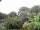 Webcam in Audley, 103.8 km