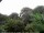 Webcam in Audley, 46.8 km