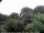 Webcam in Audley, 73.5 km