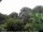 Webcam in Audley, 57.2 km