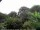 Webcam in Audley, 46.8 km