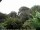Webcam in Audley, 77.9 km