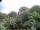 Webcam in Audley, 29.4 km