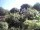 Webcam in Audley, 49.1 km