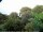 Webcam in Audley, 51.7 km