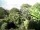 Webcam in Audley, 19.6 km entfernt