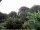 Webcam in Audley, 46 mi away