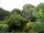 Webcam in Audley, 130.2 km
