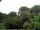Webcam in Audley, 50.2 mi away