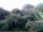 Webcam in Audley, 18.3 mi away