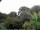 Webcam in Audley, 123.1 km