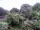 Webcam in Audley, 88.5 km
