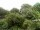 Webcam in Audley, 19 mi away