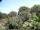 Webcam in Audley, 7.5 mi away