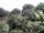 Webcam in Audley, 18.5 mi away