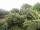 Webcam in Audley, 28.6 mi away