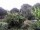 Webcam in Audley, 49.1 km