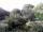 Webcam in Audley, 19.6 km entfernt