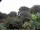 Webcam in Audley, 19.6 km