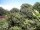 Webcam in Audley, 11.4 mi away