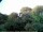 Webcam in Audley, 119.2 km