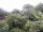 Webcam in Audley, 22.7 mi away