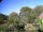 Webcam in Audley, 56.3 km
