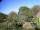 Webcam in Audley, 48 km