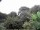 Webcam in Audley, 52.7 km