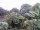 Webcam in Audley, 47.7 mi away