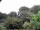 Webcam in Audley, 66.6 km
