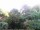 Webcam in Audley, 29.4 km