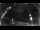 Webcam in Miralago, 8 km entfernt