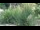 Webcam in San Diego, Kalifornien, 43.3 km entfernt