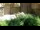 Webcam in San Diego, California, 4.3 mi away