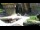Webcam in San Diego, Kalifornien, 26.9 km entfernt