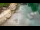 Webcam in San Diego, California, 9.9 mi away