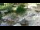 Webcam in San Diego, California, 10.4 mi away