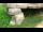 Webcam in San Diego, California, 6.3 mi away