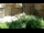Webcam in San Diego, Californien, 11.2 km