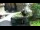Webcam in San Diego, California, 4.3 mi away