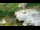 Webcam in San Diego, Kalifornien, 38.9 km entfernt