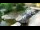 Webcam in San Diego, California, 4.8 km