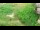 Webcam in San Diego, California, 4.3 mi away