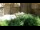 Webcam in San Diego, California, 1.6 mi away