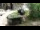 Webcam in San Diego, Californie, 69.7 km