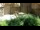 Webcam in San Diego, California, 4.3 mi away