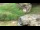 Webcam in San Diego, California, 1.7 mi away