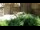 Webcam in San Diego, California, 1.9 mi away