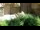 Webcam in San Diego, Californie, 4 km